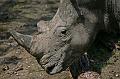 Zoo Schmiding 036